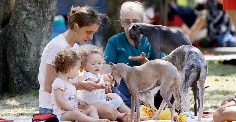 Lazer com as gêmeas e os cães whippet - Gil Rodrigues