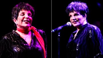 Liza Minnelli se apresenta em São Paulo - Manuela Scarpa / Photo Rio News