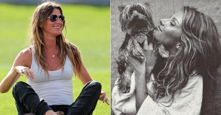 Gisele Bündchen faz tributo ao yorkshire Vida, que morreu, em sua página do Facebook - Fotomontagem