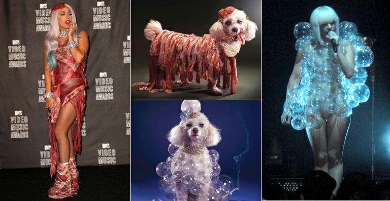 Conheça Lay Z Gaga, a versão poodle da cantora Lady Gaga - Getty Images/ Splash News/ Facebook