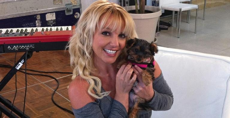 Britney Spears apresenta a cachorrinha Hannah - Reprodução / Twitter