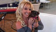 Britney Spears apresenta a cachorrinha Hannah - Reprodução / Twitter