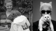 Choupette, gata de Karl Lagerfeld, é destaque em vídeo da Chanel - Foto-montagem