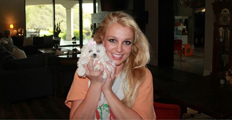 Britney Spears com a sua nova cachorrinha - Reprodução / Twitter