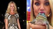 Ana Hickmann apresenta seu novo amiguinho - Foto Montagem