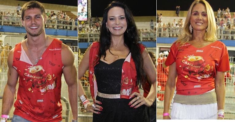 Famosos curtem a folia das campeãs do Carnaval 2013 de São Paulo - Milene Cardoso / Agnews