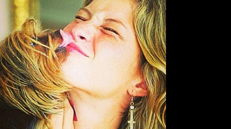 Gisele Bündchen e Vida: 'Saudades da minha pequena parceira' - Instagram/Reprodução