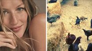 Gisele Bündchen pega ovos no galinheiro - Instagram/Reprodução