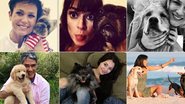 Famosos e seus pets - Reprodução/Instagram