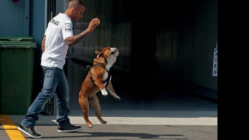 Lewis Hamilton - Reuters/Stefano Rellandini