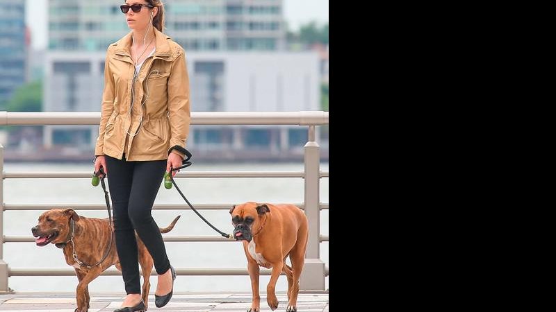 Jessica Biel Timberlake passeia com seus cães em NY - Fame Flynet/ The Grosby Group