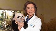 Rainha Sofía visita zoológico de Madri e brinca com filhote de panda - Spanish Royal House/ Reuters