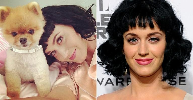 Katy Perry - Foto-montagem