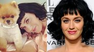 Katy Perry - Foto-montagem