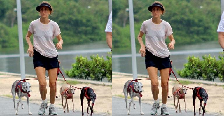 Betty Gofman passeia com seus cachorros no Rio - Daniel Delmiro/ AgNews