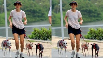 Betty Gofman passeia com seus cachorros no Rio - Daniel Delmiro/ AgNews