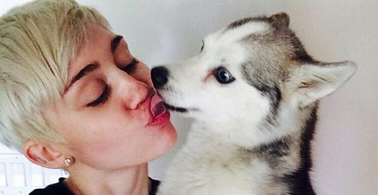 Miley Cyrus diz estar "quebrada" e "miserável" após morte do cachorro - Twitter/Reprodução