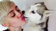 Miley Cyrus diz estar "quebrada" e "miserável" após morte do cachorro - Twitter/Reprodução