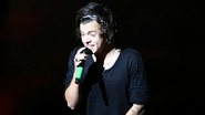 Harry Styles em show no Rio de Janeiro - Marcello Sá Barretto / AgNews