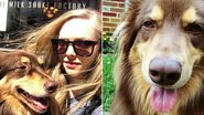 Amanda Seyfried mostra habilidade de equilíbrio de seu cachorro Finn - Foto-montagem