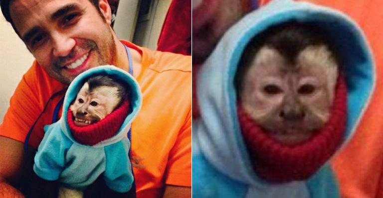 Latino mostra foto do macaco Twelves agasalhado contra o frio - Instagram/Reprodução