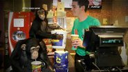 Chimpanzés assistem filme 'Planeta dos Macacos' nos EUA; Veja a reação - ABC/Reprodução