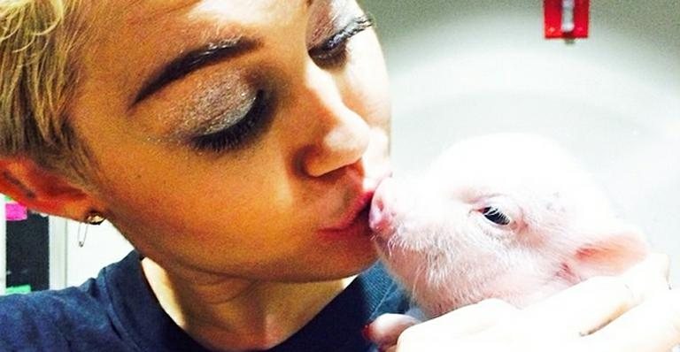 Miley Cyrus dá selinho em porco e viaja com animal no colo - Instagram/Reprodução