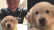 Neymar com seu novo cachorro, Poker - Reprodução / Instagram