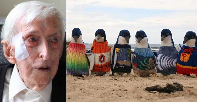 Aos 109 anos, senhor costura blusas para pinguins na Austrália - Nine News/Reprodução e Penguin Foundation/Facebook