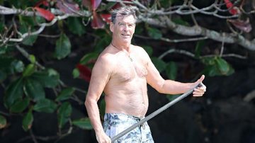 Pierce Brosnan no Havaí - AKM-GSI