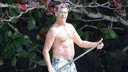 Pierce Brosnan no Havaí - AKM-GSI