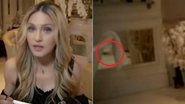 Rato faz aparição surpresa em casa de Madonna - YouTube/Reprodução