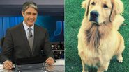 William Bonner e o cão Guliver - Estevam Avellar/TV Globo e Instagram/Reprodução