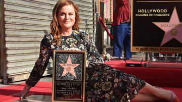 Amy Poehler - Getty Images