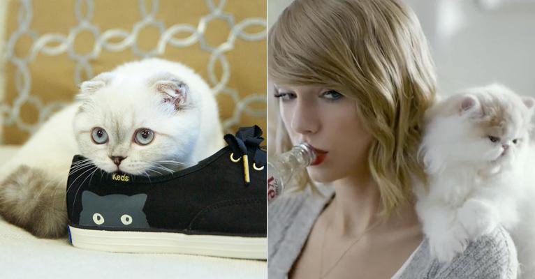 Olivia, gata de Taylor Swift, já posou para a Keds e apareceu com a cantora em uma propaganda da Coca-Cola - Divulgação