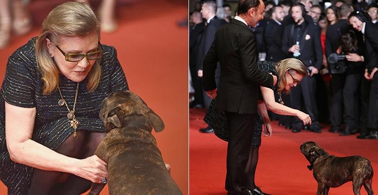 Carrie Fisher e seu cão: sucesso em Cannes - Getty Images