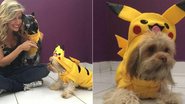 Luisa Mell promove feira de adoção de 'Pokedog' em São Paulo - Reprodução/Instagram