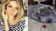 Giovanna Ewbank se derrete por cachorro da raça Shar Pei - Reprodução Instagram