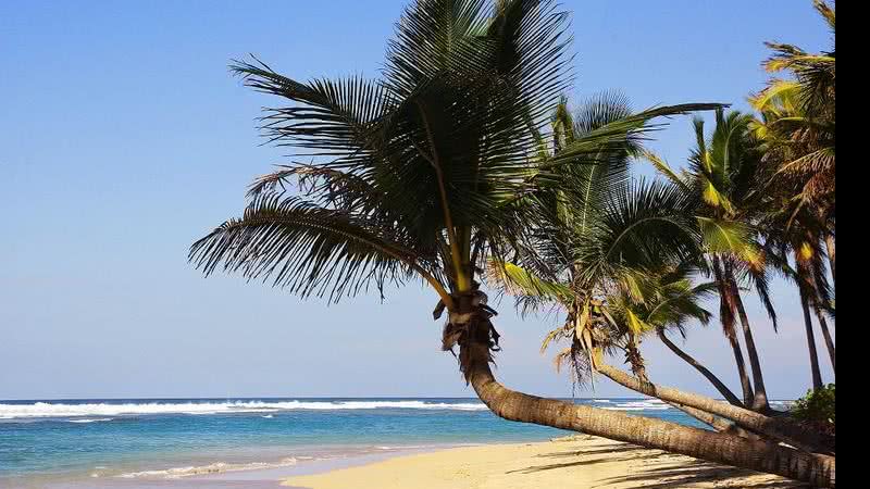 Punta Cana - Shutterstock