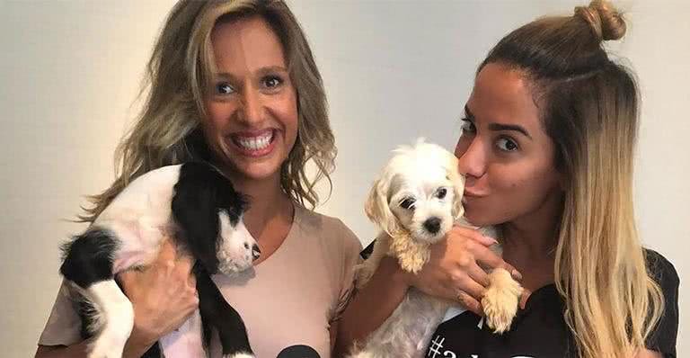 Anitta adota cães resgatados das ruas por Luisa Mell - Reprodução