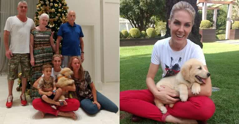 Ação do bem: Ana Hickmann adota cãozinho - Divulgação