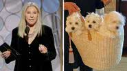 Barbra Streisand afirma que seus cães são clonados - Getty Images/Reprodução/Instagram