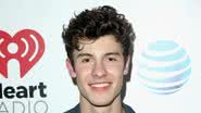 Shawn Mendes - Getty Images