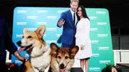 Harry e Meghan com corgis - getty