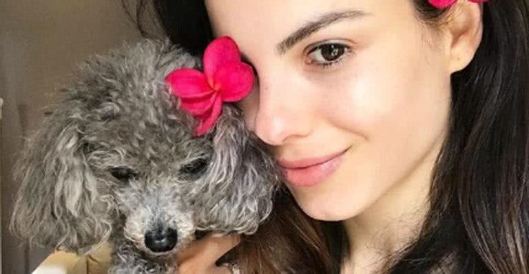 Sthefany Brito emociona ao lamentar morte de sua cachorrinha - Reprodução/Instagram