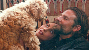 Bradley Cooper contracenou com seu cãozinho Charlie - Divulgação