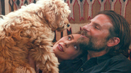 Bradley Cooper contracenou com seu cãozinho Charlie - Divulgação