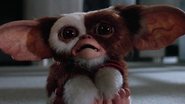 “Gremlins”, clássico dos anos 80, ganhará série animada! - Foto/Reprodução