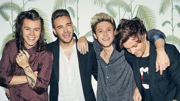 Ex-integrantes do One Direction celebram os 9 anos da banda - Foto/Destaque A.M Álbum