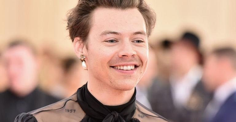 Harry Styles - Theo Wargo/Getty Images